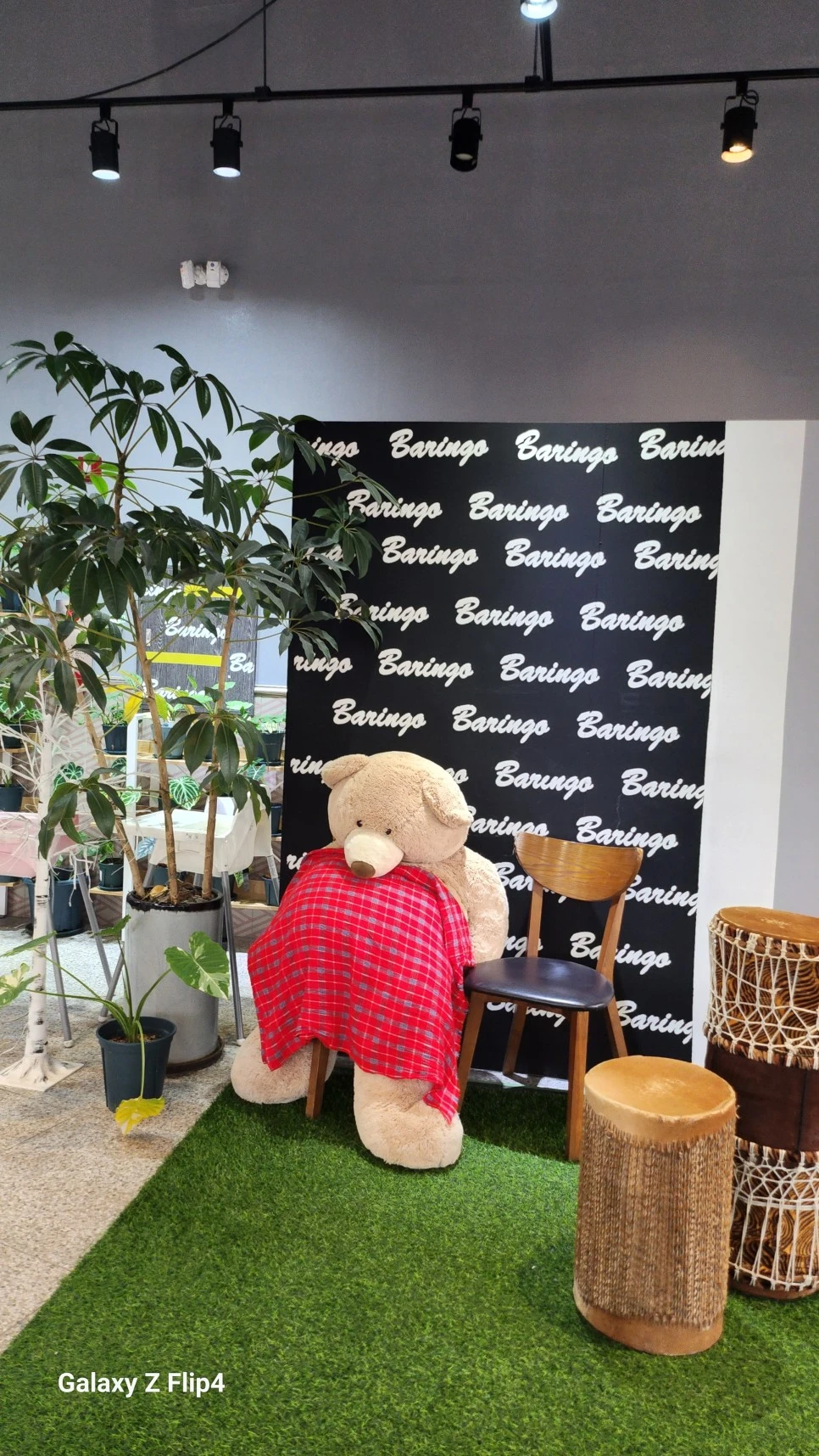 1000024116.jpg?type=w966