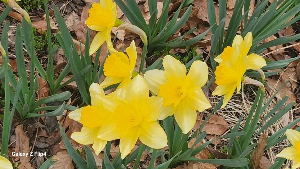 1000029330.jpg?type=w966