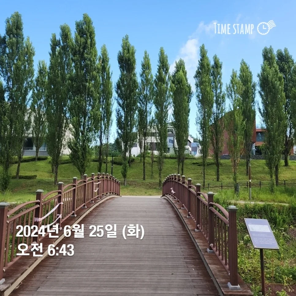 1000034416.jpg?type=w966