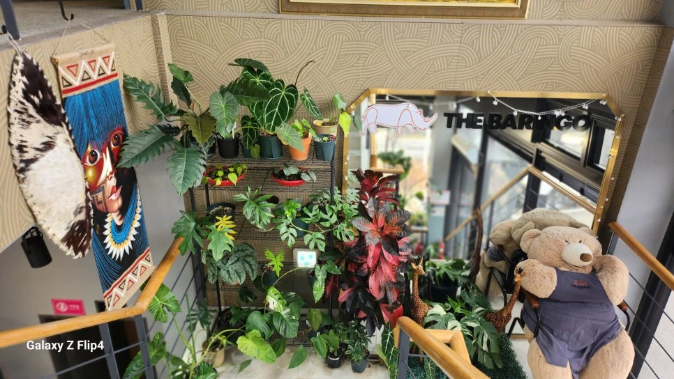 1000024114.jpg?type=w966