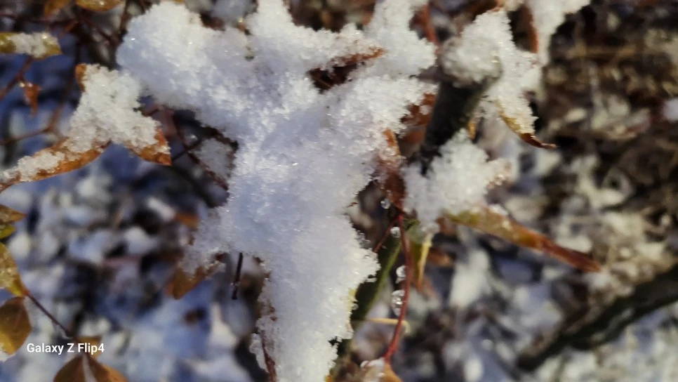 1000024475.jpg?type=w966