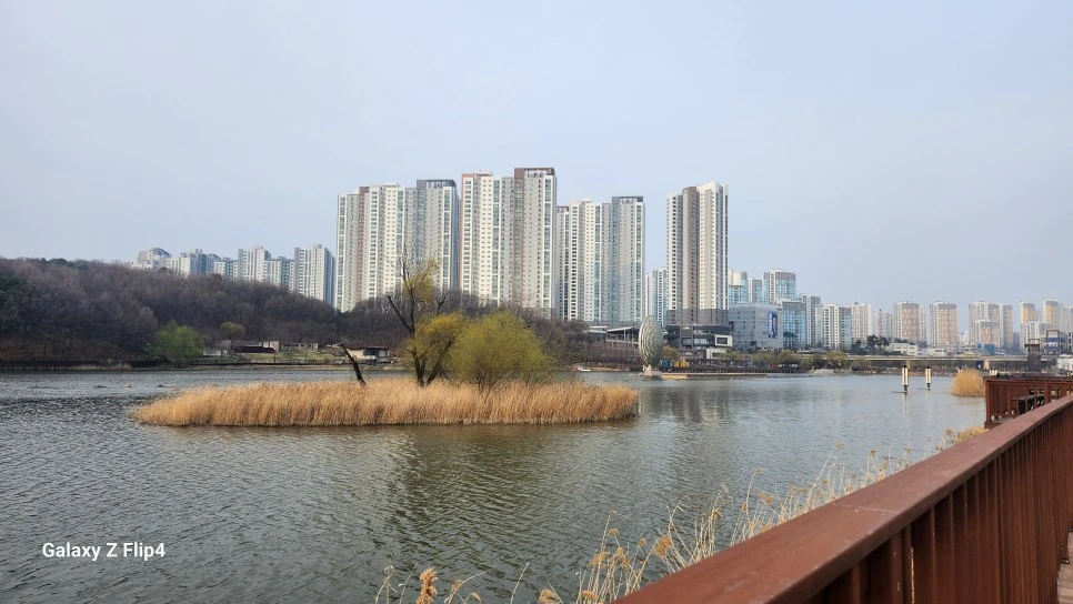 1000029325.jpg?type=w966