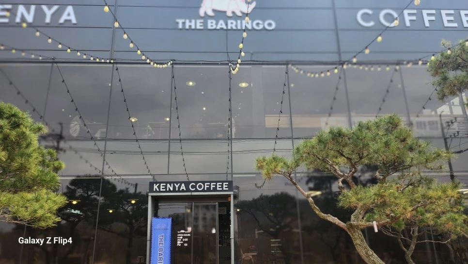 1000024107.jpg?type=w966