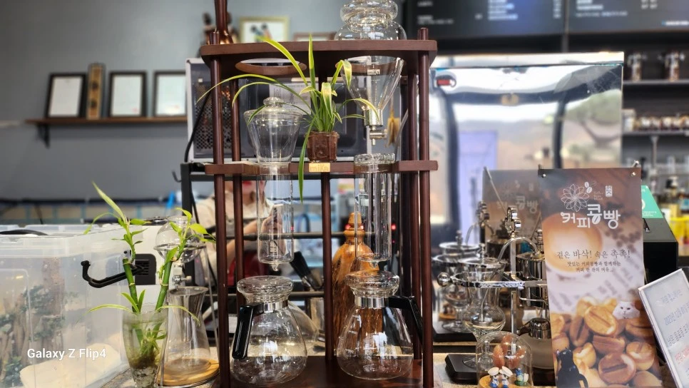 1000024102.jpg?type=w966