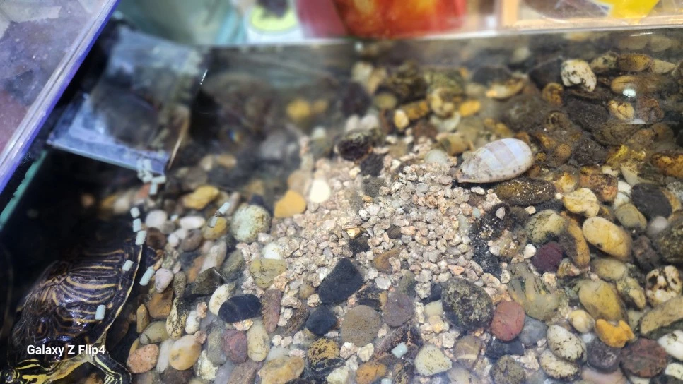 1000024103.jpg?type=w966