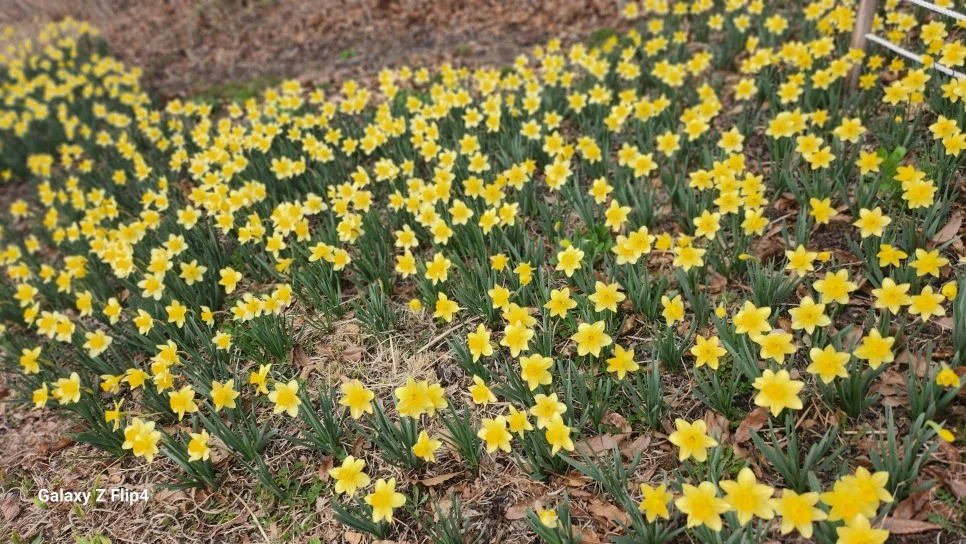 1000029329.jpg?type=w966