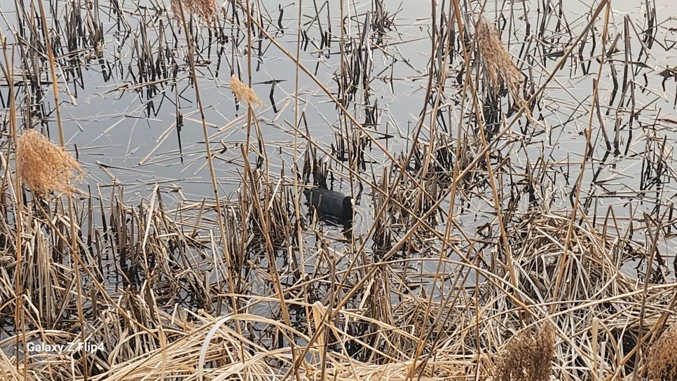 1000029327.jpg?type=w966