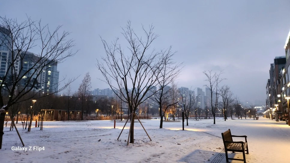 1000024477.jpg?type=w966