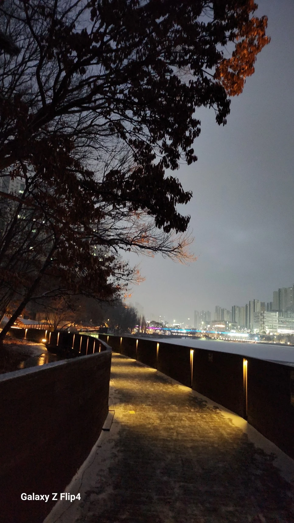 1000024466.jpg?type=w966