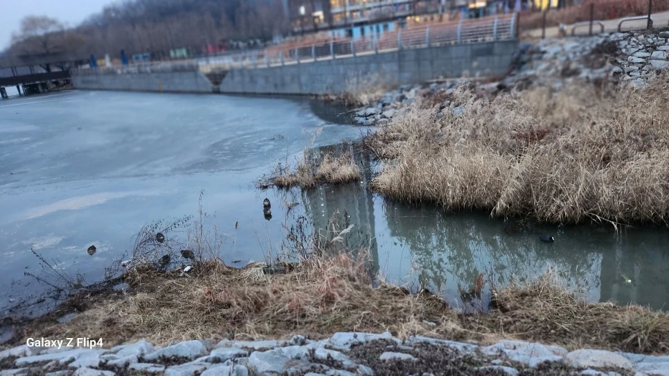 1000024141.jpg?type=w966