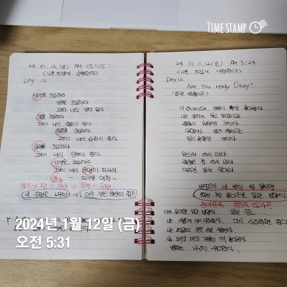 1000024565.jpg?type=w966