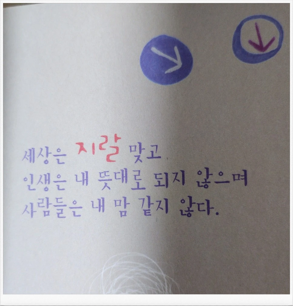 SE-19a204d9-e7aa-4630-85ca-4667fcda9966.jpg?type=w966