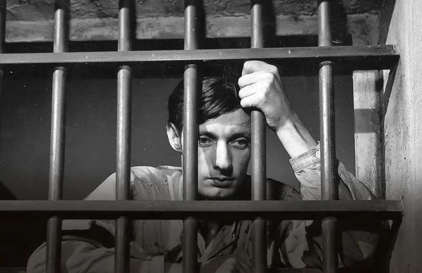 image?url=https%3A%2F%2Fd5xse3soi83tm.cloudfront.net%2Fweb%2Fassets%2Fposter%2FqpEMvV6t6f__850550.jpg&w=3840&q=75