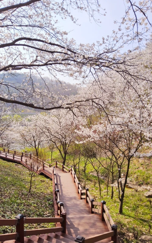 KakaoTalk_20240409_190217063.jpg?type=w1