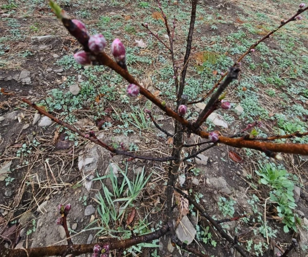 SE-32c2c842-3c58-48f8-a9f1-e945b167b630.jpg?type=w1