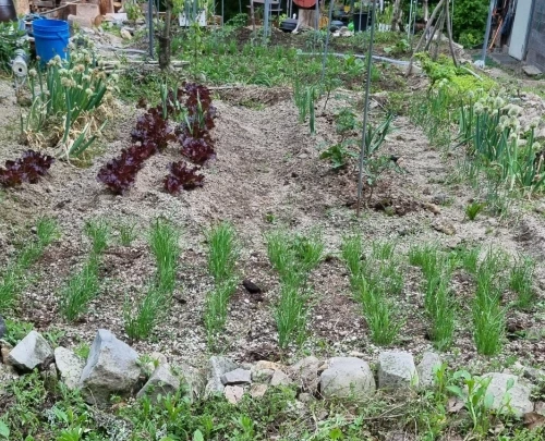 SE-8deca31e-0355-4ad0-be30-fcdf077741f8.jpg?type=w1