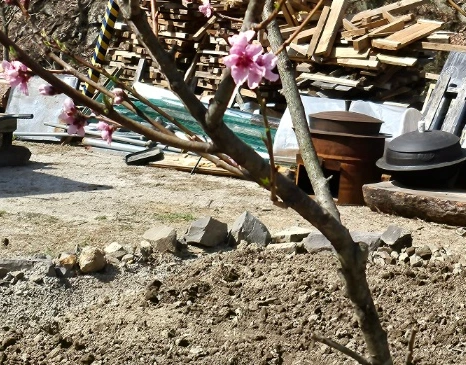 SE-c3d3cb3e-fa01-41af-8d89-753ac5d0d569.jpg?type=w1