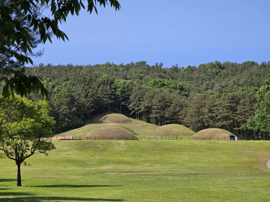 KakaoTalk_20240518_220116402_11.jpg?type=w1