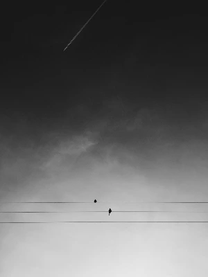 photo-1512514076443-1eef59c260b0.jpg?type=w1