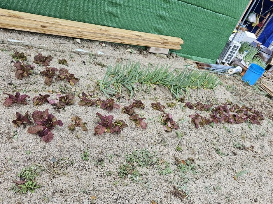 KakaoTalk_20240331_072604284_02.jpg?type=w1