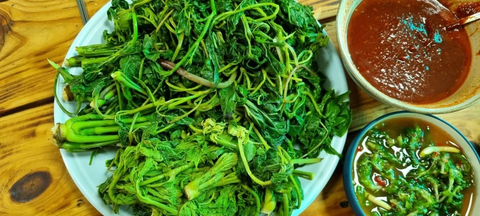 SE-08261f6f-bf9c-466c-bc2d-62a50a9ce075.jpg?type=w1