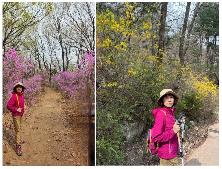 %EC%BA%A1%EC%B2%98_(1).JPG?type=w1