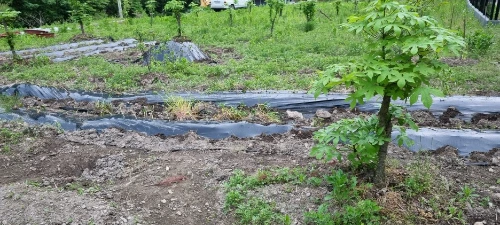 KakaoTalk_20240505_232417229_02.jpg?type=w1