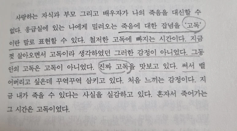 SE-ca36127c-b890-4b4e-aa0c-17f1a4ddf4a5.jpg?type=w773