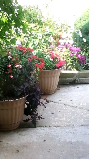 6318770_uploaded_7993345.jpg?type=w2000