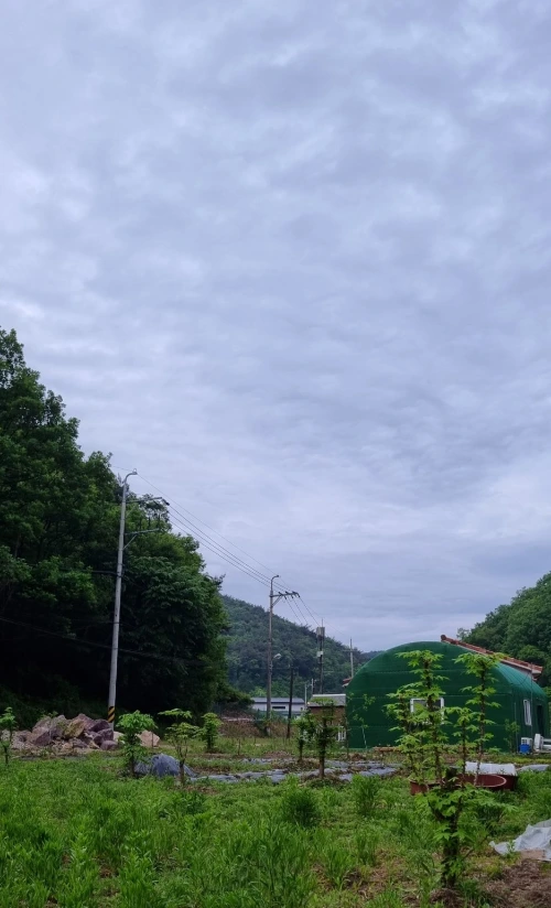 SE-5e634219-d98f-49bc-bd8a-bae21d43e7fc.jpg?type=w1