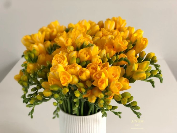 다운로드 (6).jpeg