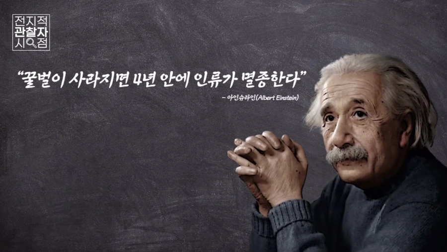 꿀벌의 예언.jpeg