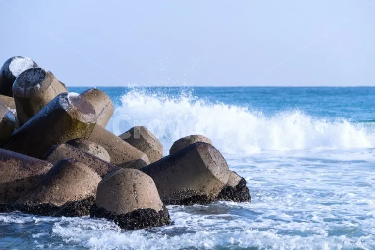 어바웃 덤덤과 담담.jpeg