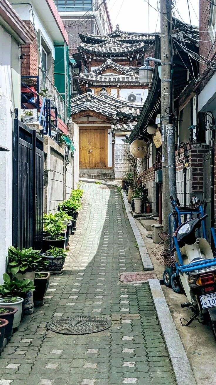 IMG_4144.jpeg?type=w773