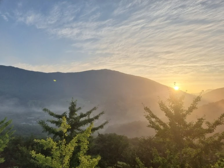 20220716%EF%BC%BF055546.jpg?type=w773