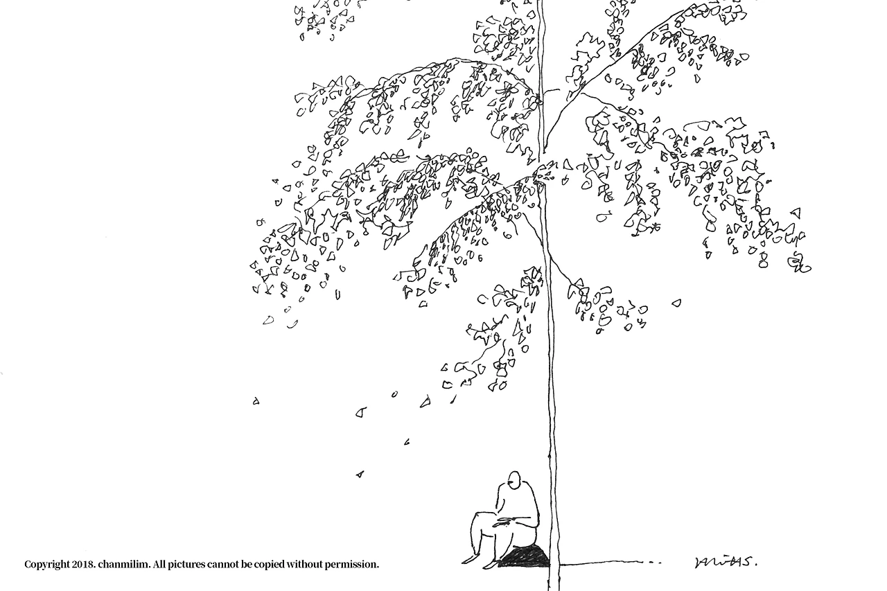 IMG_9043 복사본.JPG