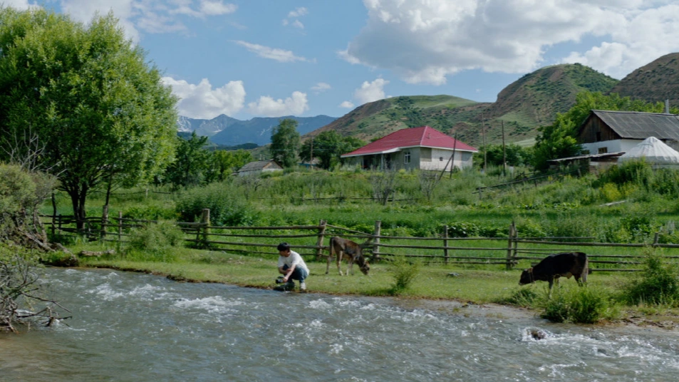 다우렌 결혼 포토 (1).jpeg