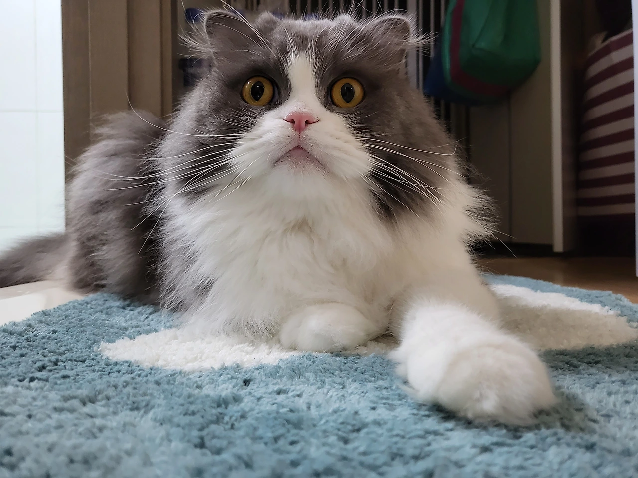 20220308_211830_Original - 하유미.jpeg