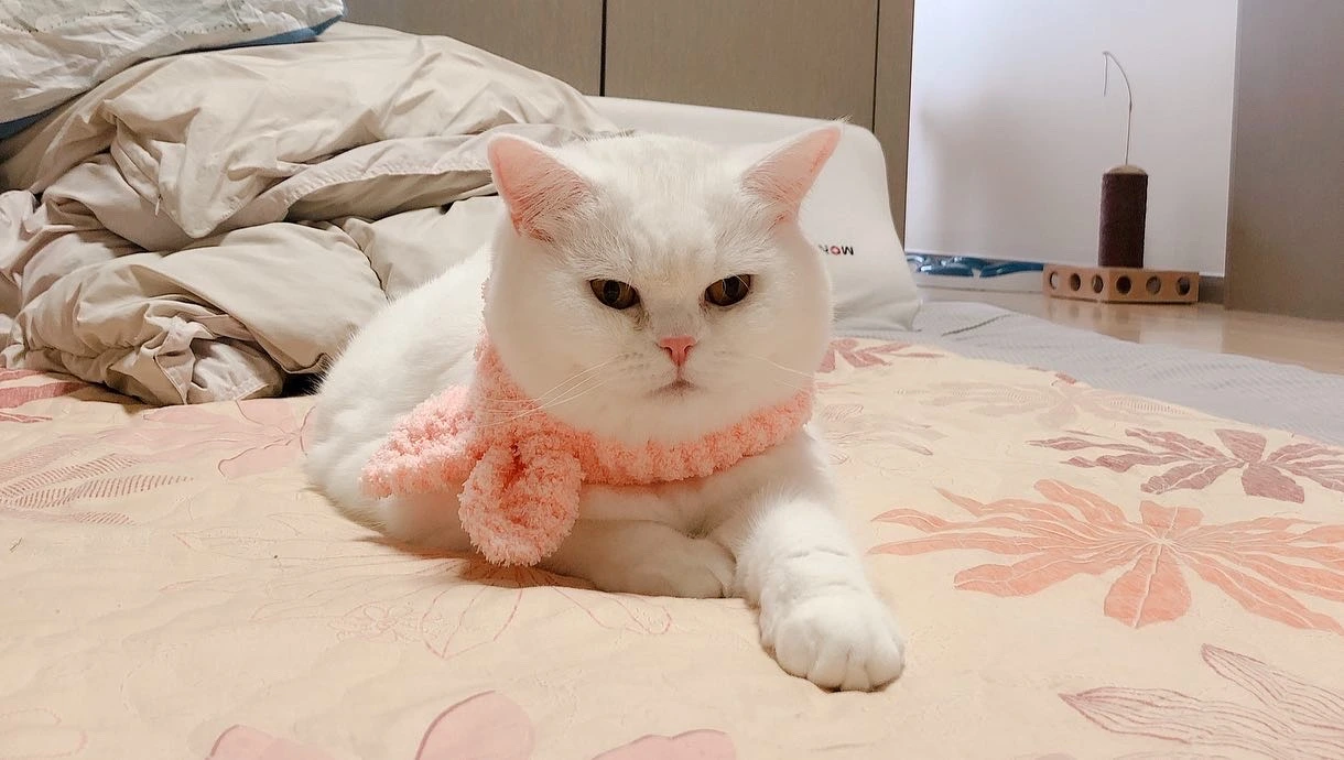 45CCDDDE-4C07-4E91-85DE-33A3C664AA5A_Original - 하유미.jpeg