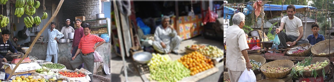 P야채가게아저씨와 이웃들-side.JPG