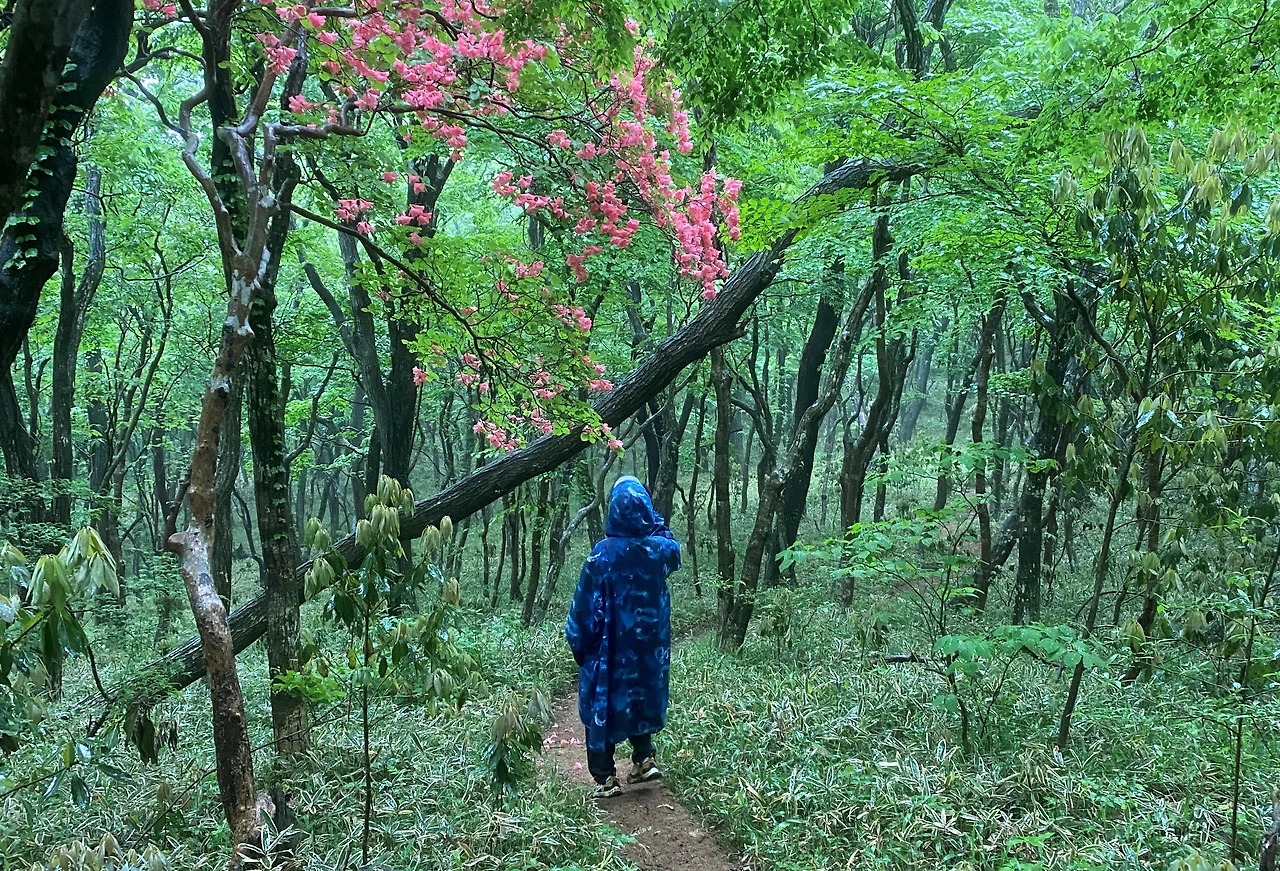 202205제주 (654).JPG