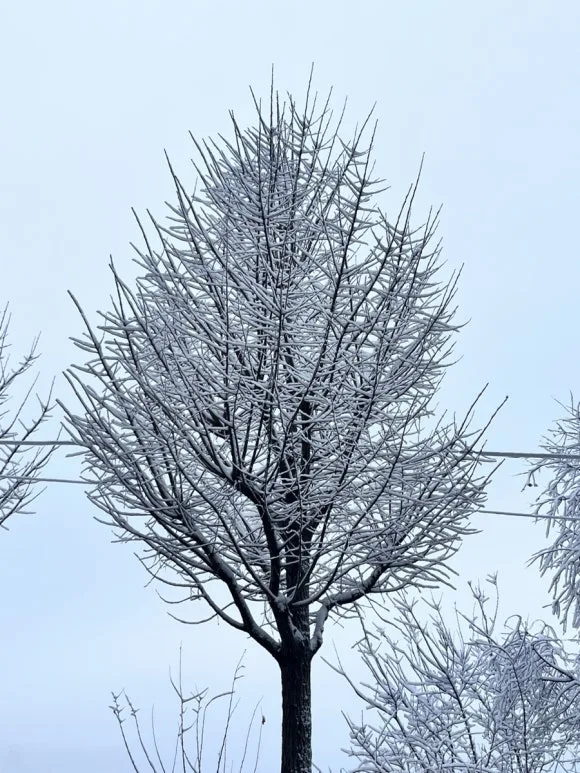 IMG_3836.jpg?type=w580