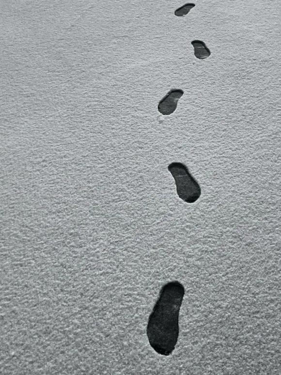 IMG_3831.jpg?type=w580