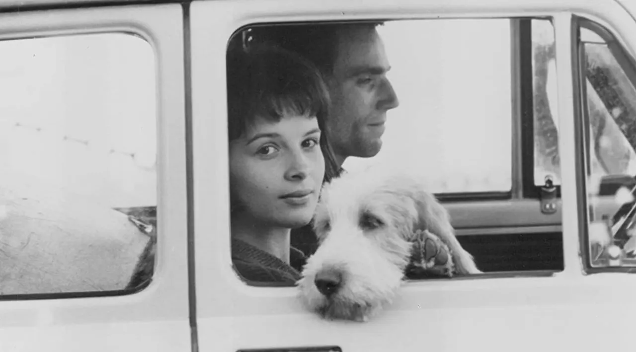 b02bf3d624054820e8e3c48fe413dd86.jfif