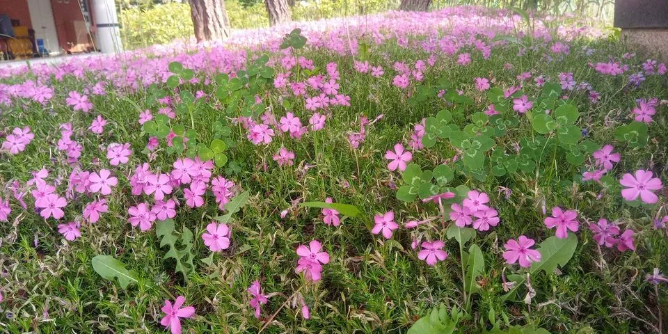 345933166_1227685488112623_4212119116454976079_n.jpg?stp=dst-jpg_p480x480&_nc_cat=107&ccb=1-7&_nc_sid=8bfeb9&_nc_ohc=-_eNWSicrKUAX8deBxN&_nc_ht=scontent-ssn1-1.xx&oh=00_AfAnaKz2QRQIBirTEtz-dRfqTLD91A3bcjtFDV4d9tNSog&oe=64673616