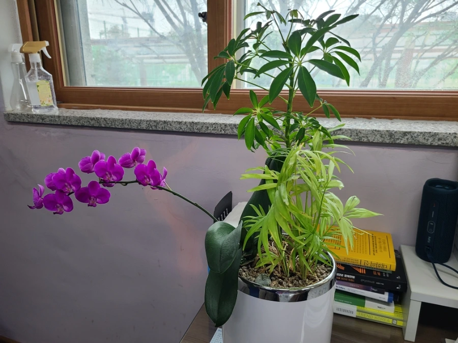 20240824%EF%BC%BF111229.jpg?type=w966