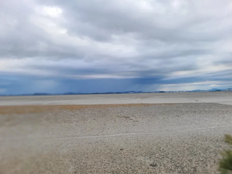 20240916%EF%BC%BF075901.jpg?type=w3840