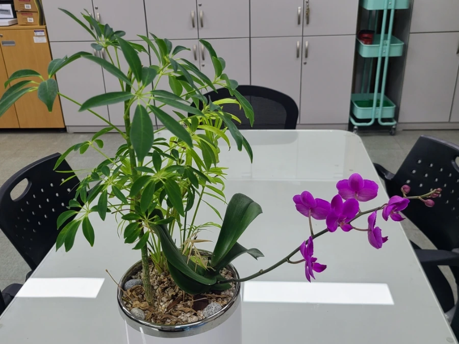 20240723%EF%BC%BF101454.jpg?type=w3840