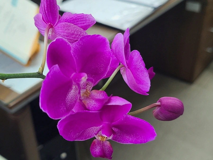 20240924%EF%BC%BF141535.jpg?type=w3840