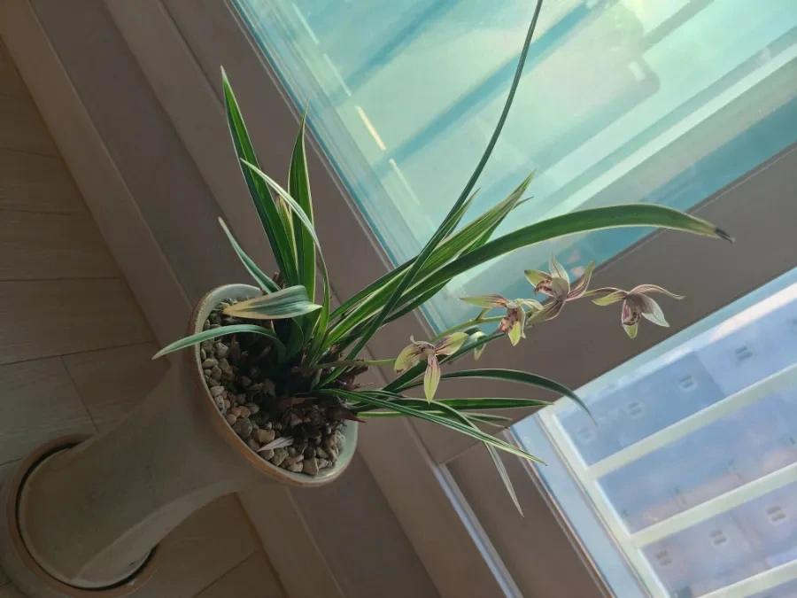 20240909%EF%BC%BF071422.jpg?type=w3840